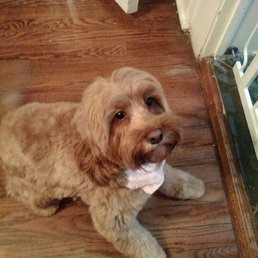 Happy to show off her new haircut. Happy to show off her new haircut.