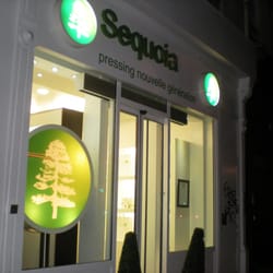 Sequoia