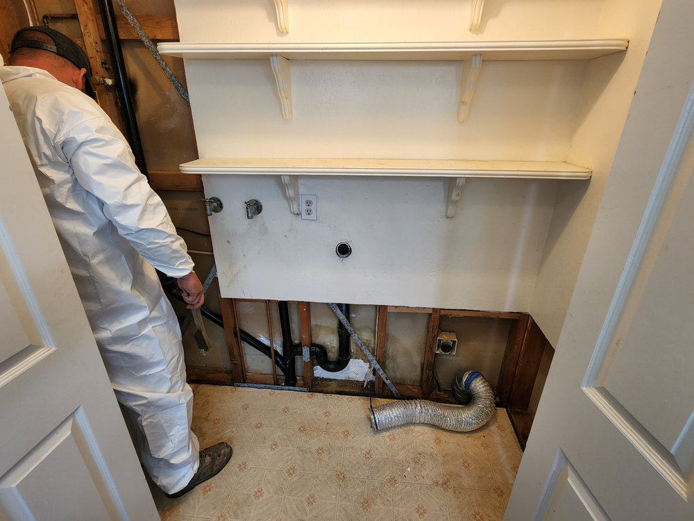 Affordable Mold guys - mold inspector in Sacramento, CA