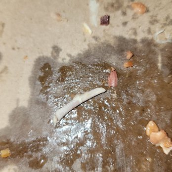 Lehigh Pizza - Bone that was in my Stromboli - Pizza Near Me - Bethlehem, Pennsylvania