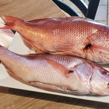 Cayo Caribe - You get to choose before they cook@ Cayo Caribe! - Seafood Near Me - San Juan, Puerto Rico Cayo Caribe - You get to choose before they cook@ Cayo Caribe! - Seafood Near Me - San Juan, Puerto Rico