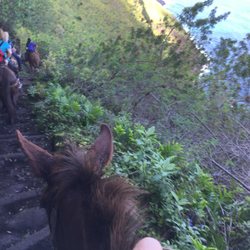 Molokai Mule Ride - Tallest cliffs in the world.
