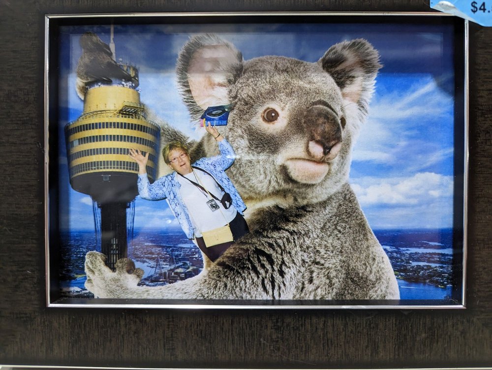 GOODWILL Updated August 2024 36 Photos & 10 Reviews 3803 Calgary