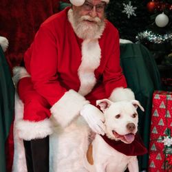 Antioch Animal Services - PAWS AND CLAUS