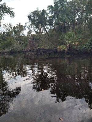 Canoe Outpost-Little Manatee River by null