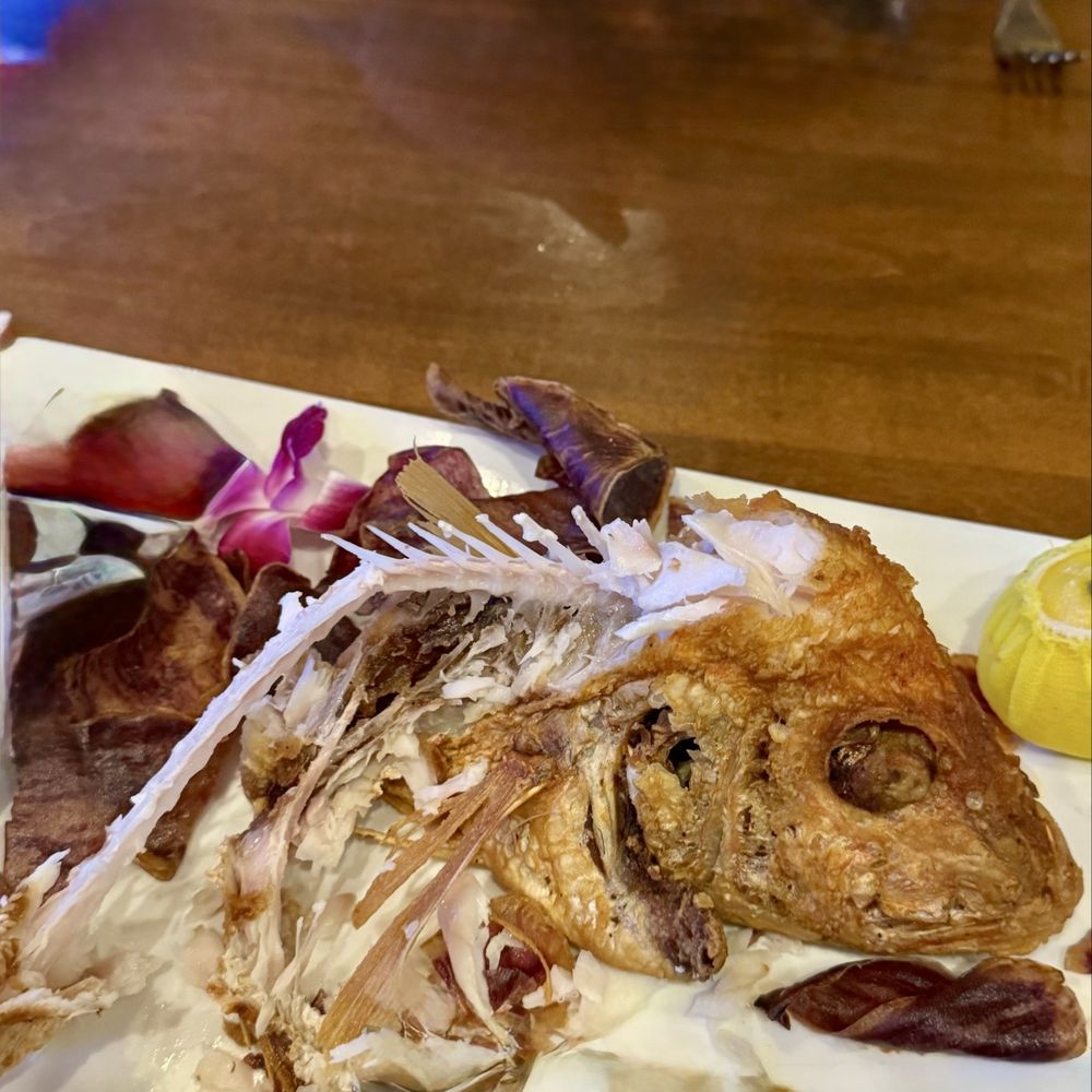 Fins At Sharky's - Whole fried snapper just outstanding. - Steakhouses Near Me - Venice, Florida Fins At Sharky's - Whole fried snapper just outstanding. - Steakhouses Near Me - Venice, Florida