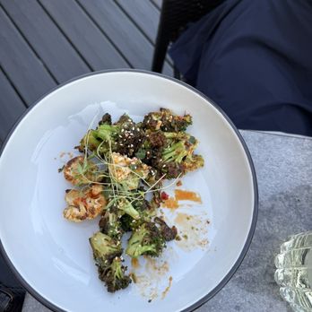 Mondo On The River - The Vegetable Situation - Wine Bars Near Me - Appleton, Wisconsin Mondo On The River - The Vegetable Situation - Wine Bars Near Me - Appleton, Wisconsin