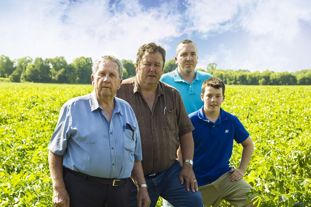 Beattie's Distillers