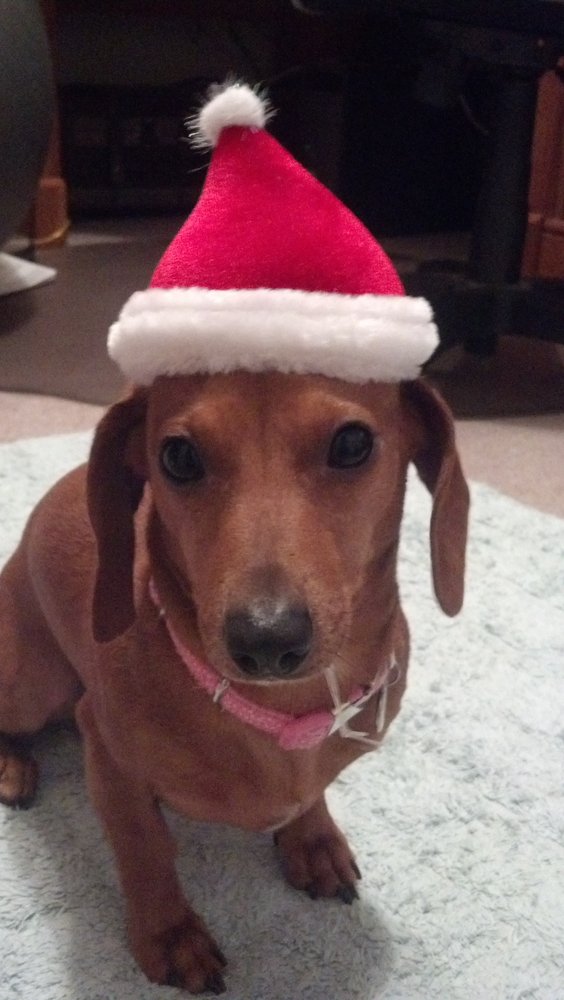 Slide of Pinky's Plumbing