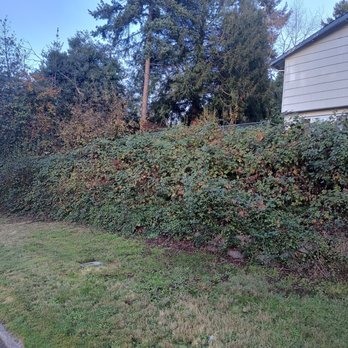 Landscaping Landin - Before - Landscaping Near Me - Auburn, Washington