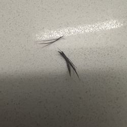 After she "fixed" my Natural Lashes falling out in chunks of 3-4 lashes to 1 cluster.