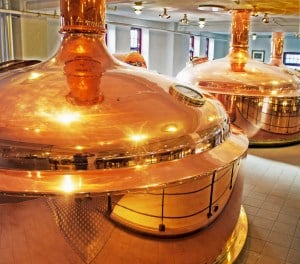 Totally Glass by null