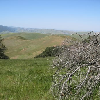 Brushy Peak Regional Preserve - Hiking Near Me Brushy Peak Regional Preserve - Hiking Near Me