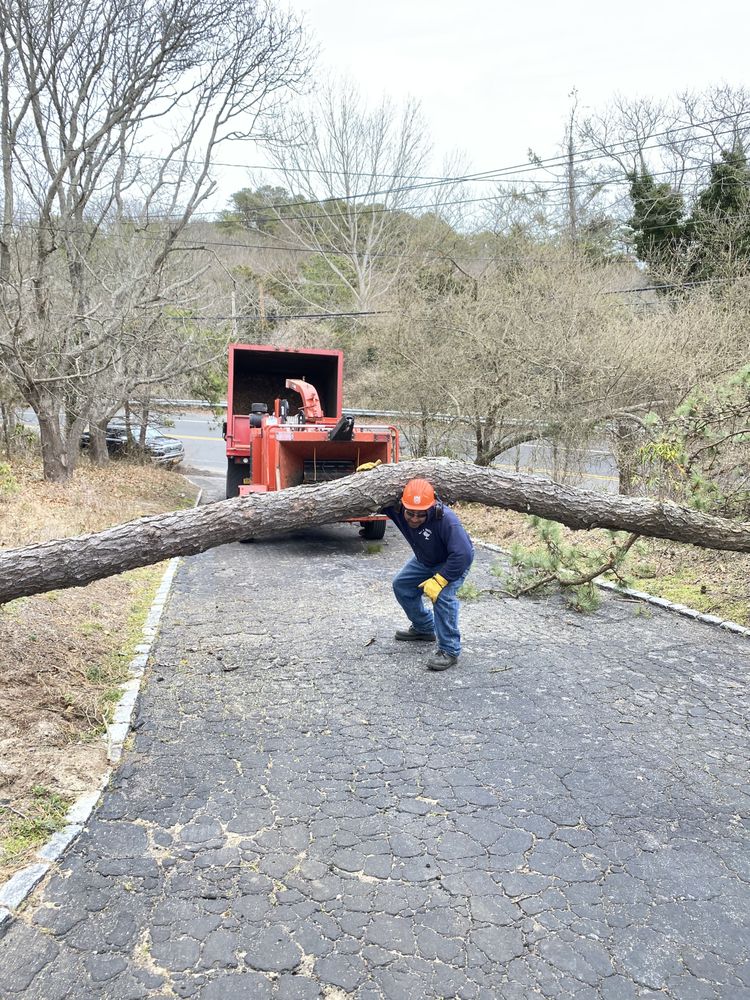 BEST VALUE OUTDOOR LAND SERVICES Updated August 2024 12 Reviews