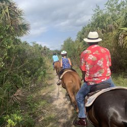 Desert Acres Stables - Horses of courses.