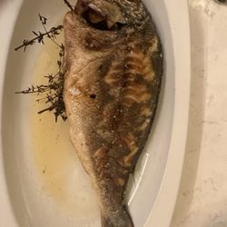 Boccaccio - Sea bream