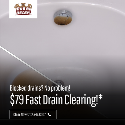 Drain Bears Logo