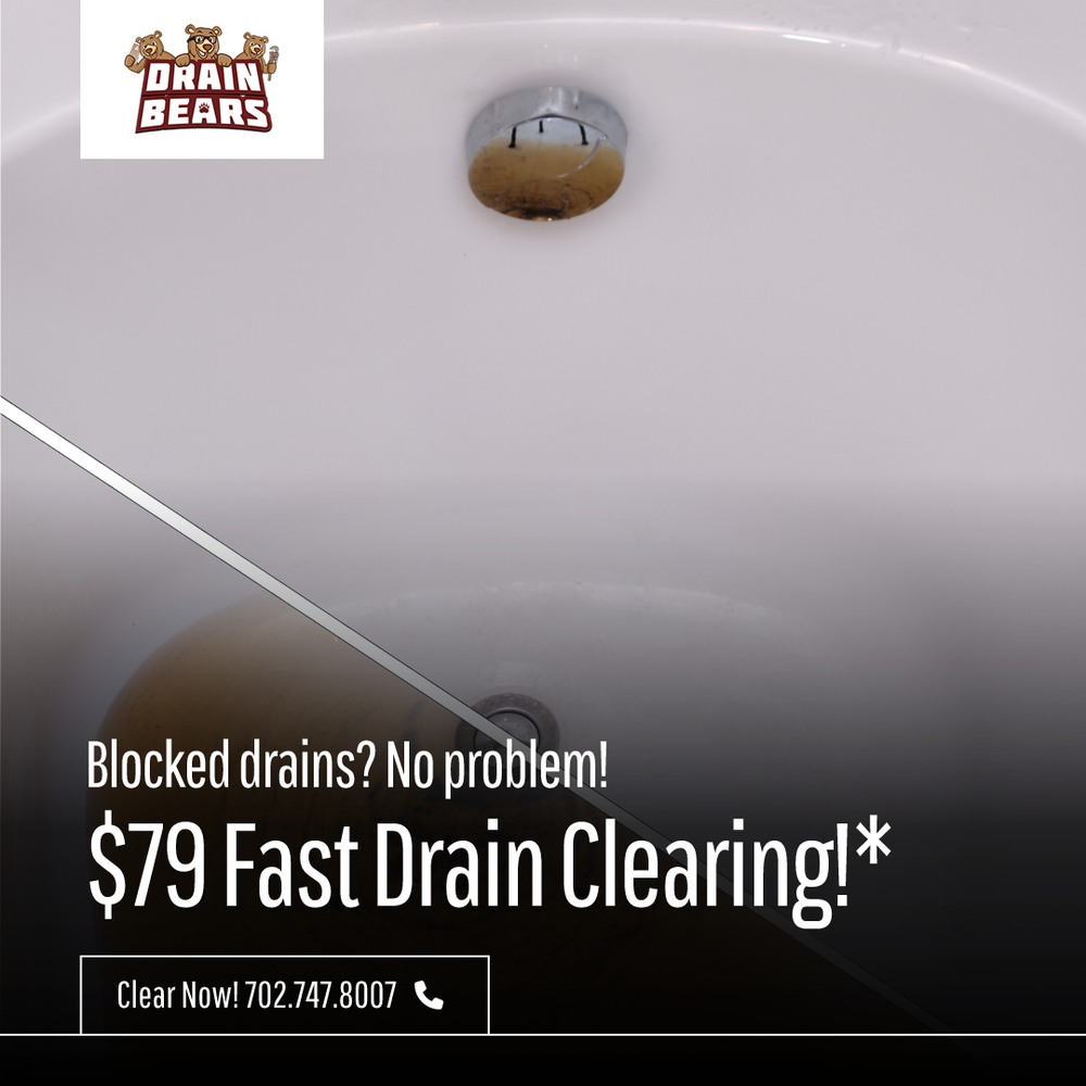 Slide of Drain Bears