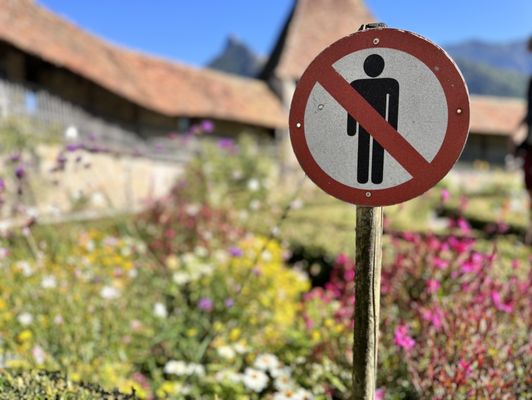 Château de Gruyères by null