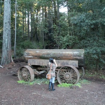 Drive-Thru Tree - Parks Near Me - Leggett, California Drive-Thru Tree - Parks Near Me - Leggett, California