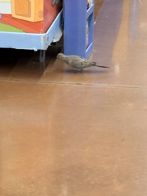 Walmart Supercenter by null