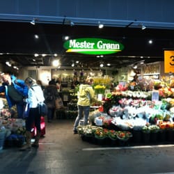 Mester Grønn