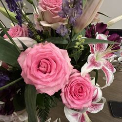 Shackelford Botanical Designs