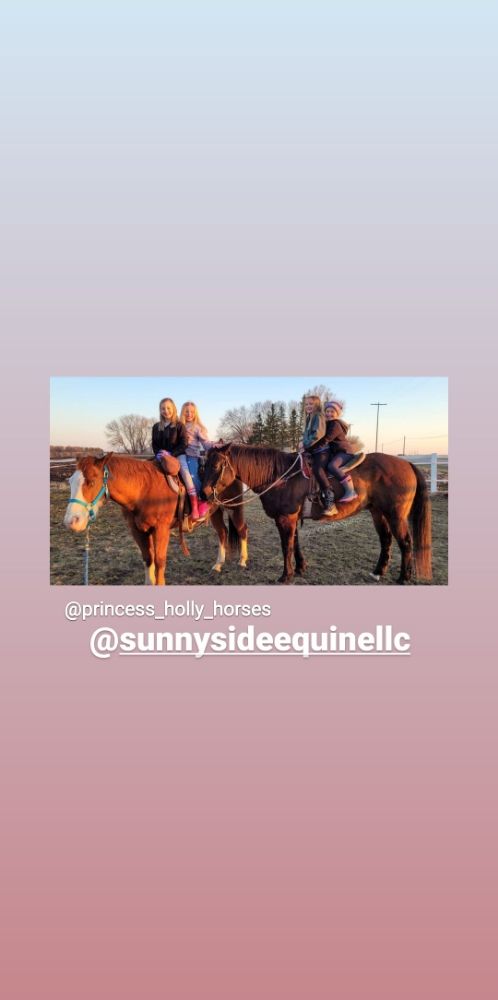Sunnyside Equine - equestrian in Hastings, MN