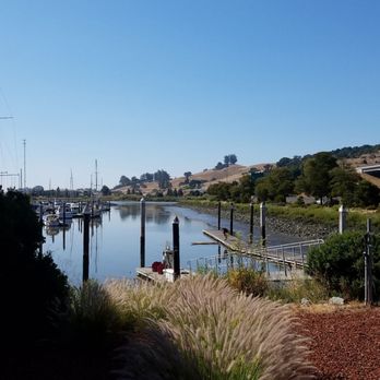 Petaluma Stand Up Paddle - Where we launch - Paddleboarding Near Me - Petaluma, California