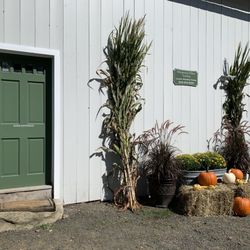 Whispering Willow Equestrian Center