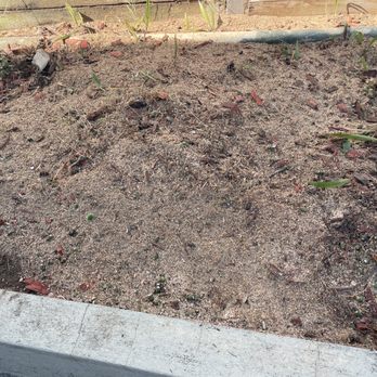 Saul’s Tree Service - Tree Services Near Me Saul’s Tree Service - Tree Services Near Me