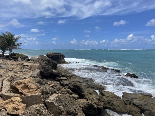 Ola Ocean Front Bistro by null