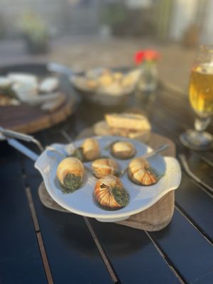 The Drunken Horse St. Augustine by null