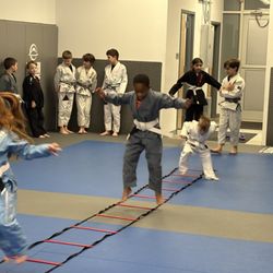 Phoenix BJJ