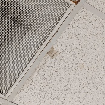 Horry Georgetown Technical College - that vent, FULL OF water, mold. - Colleges & Universities Near Me - Conway, South Carolina