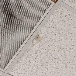 Horry Georgetown Technical College - that vent, FULL OF water, mold.