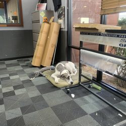 Desert Dawg Auto Repair
