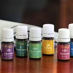 Hygeia Health Market - Young Living & NOW Essential Oils