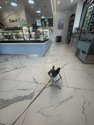 Dolce & Salato by null