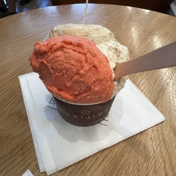 Bacio Di Latte - Classic Regular Cup - Gelato Near Me - Irvine, California