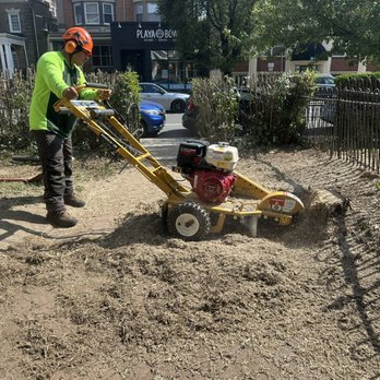 Santos Tree Services - Tree Services Near Me - Philadelphia, Pennsylvania Santos Tree Services - Tree Services Near Me - Philadelphia, Pennsylvania