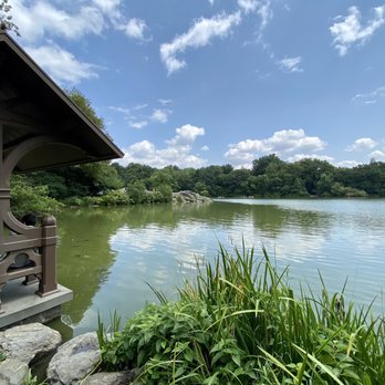 Central Park Conservancy - Central park pond - Parks Near Me - New York, New York