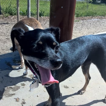 Deer Creek Village - Arya loves the park! - Shopping Centers Near Me - Petaluma, California Deer Creek Village - Arya loves the park! - Shopping Centers Near Me - Petaluma, California