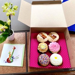 Smallcakes Tallahassee--A Cupcakery