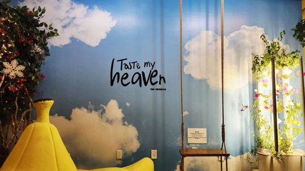 The Cocinita by null