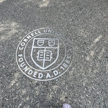 Roosevelt Island - Parks Near Me Roosevelt Island - Parks Near Me