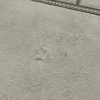 Silver State Coatings - Bubbling up in multiple areas. - Painters Near Me