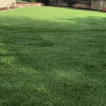 Lazy Lawns - Artificial Turf Near Me - Rudy, Arkansas Lazy Lawns - Artificial Turf Near Me - Rudy, Arkansas