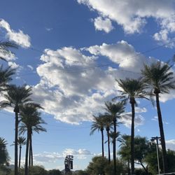 Sprouts Farmers Market - Outside - 70* is for me!