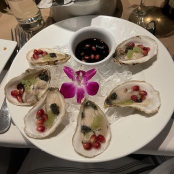 Skratch Kitchen - Oysters special - Italian Near Me - Bradley Beach, New Jersey Skratch Kitchen - Oysters special - Italian Near Me - Bradley Beach, New Jersey